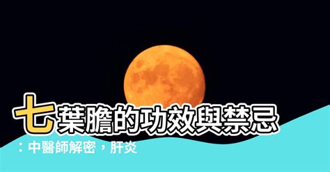 七葉蘭禁忌|七葉蓮：營養價值與成分、功效、禁忌、正確吃法